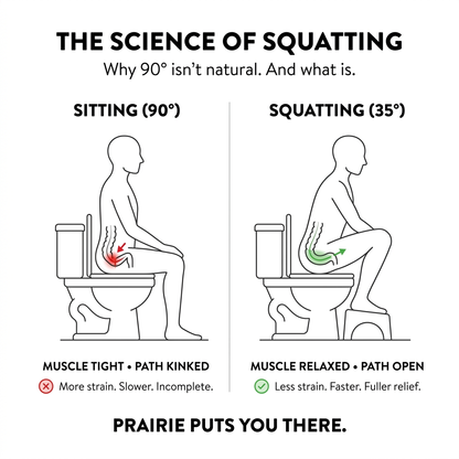 Prairie™ Toilet Squat Stool